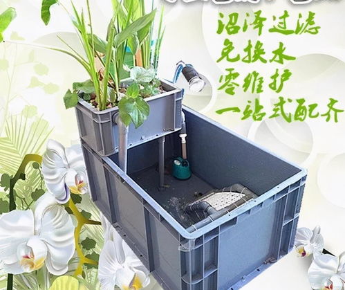 陶瓷環(huán)和細菌屋能一起用嗎